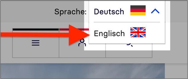 Eine Ansicht des Sprachwechslers auf der Website im Headerbereich